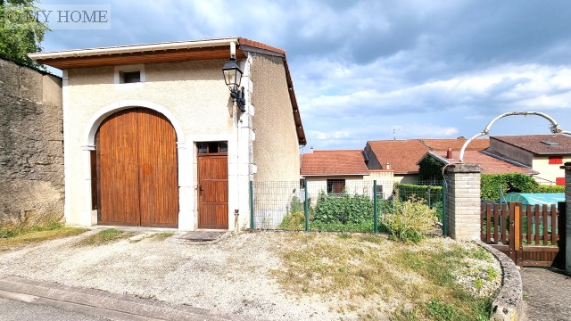 vente maison TOUL 10 pieces, 223m